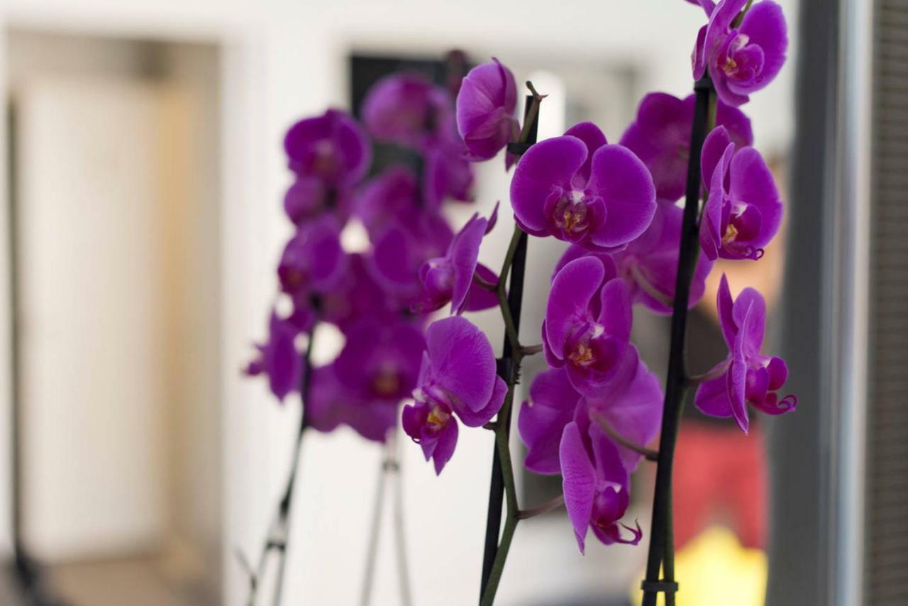 Studio Orchidea Helsinki Buitenkant foto