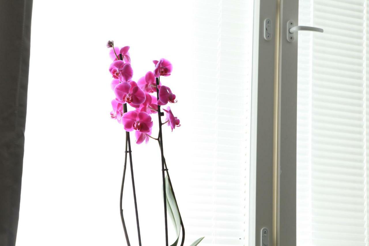 Studio Orchidea Helsinki Buitenkant foto